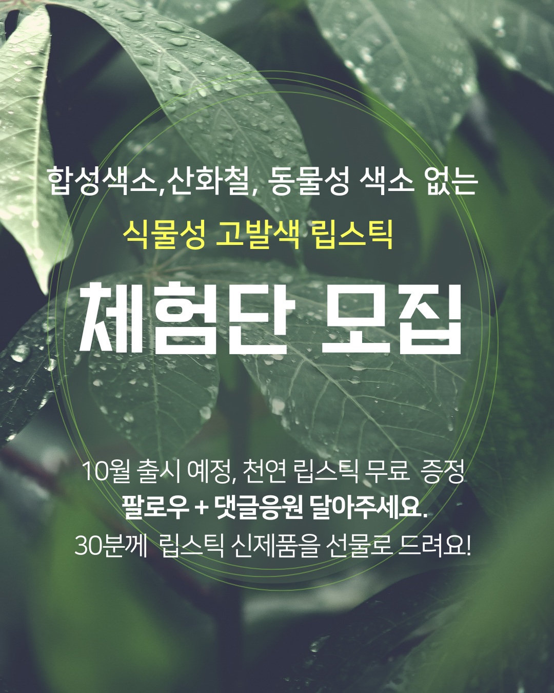 엘로라 식물성 립스틱 체험단