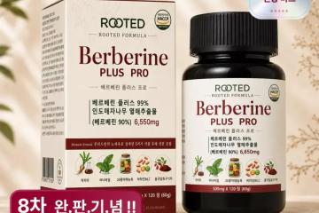 루티드 포뮬라 베르베린 플러스PRO 500mg X 120정 4개월분